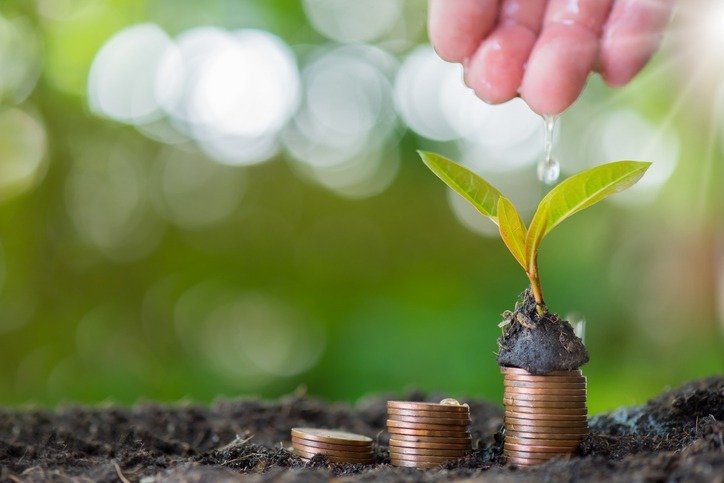 Home 19 Investimento em Compensação Ambiental gerando frutos